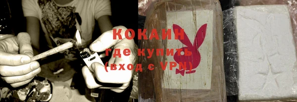 прущие грибы Абаза