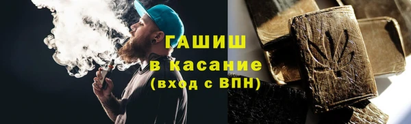 прущие грибы Абаза