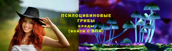 дживик Алзамай