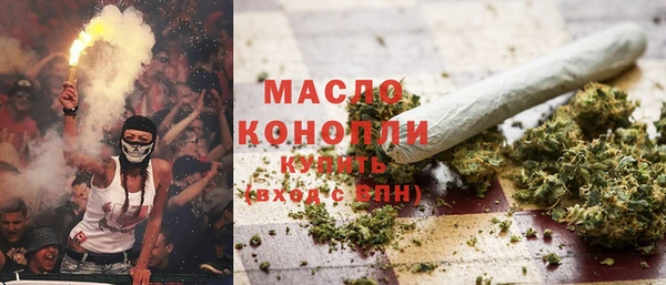 прущие грибы Абаза