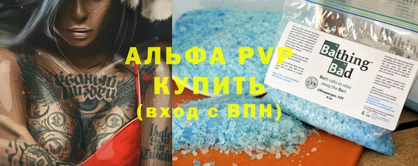 прущие грибы Абаза