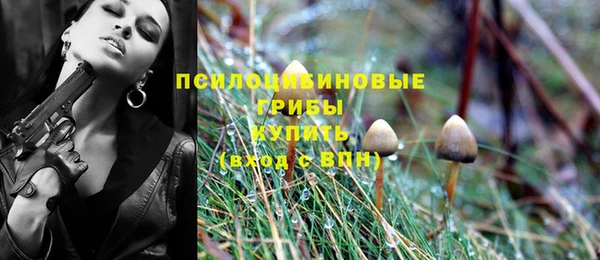спайс Алексин
