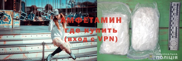 прущие грибы Абаза