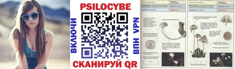 Галлюциногенные грибы Psilocybine cubensis  Касимов 